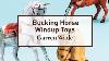 Garrett Wade Set Of 3 Bucking Horse Windup Toys
