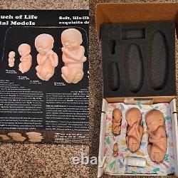 Heritage House'76 Touch of Life Fetal Models 12 / 16 / 22 / 26 Weeks