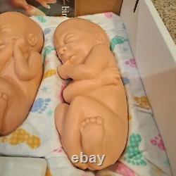 Heritage House'76 Touch of Life Fetal Models 12 / 16 / 22 / 26 Weeks