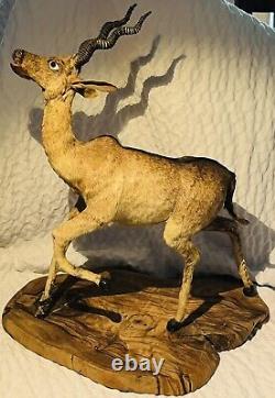 RARE 1890's Antique Victorian Taxidermy Antelope Children's Toy Oddity