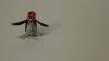 Tin Wind Up Toy Walking Penguin