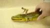Vintage Chein Alligator With Native On Back Wind Up Toy